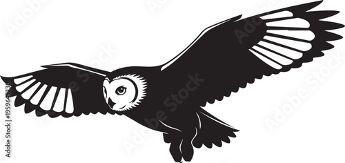 Owl in flight with wings spread wide open freely