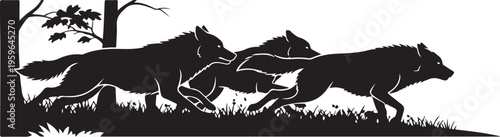 Silhouette of three wolves running together in the wild
