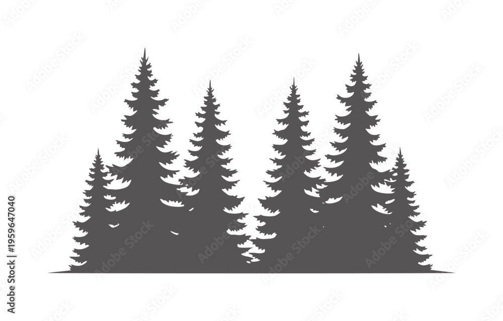 Fototapeta premium Dark grey silhouette of a dense forest of pine trees