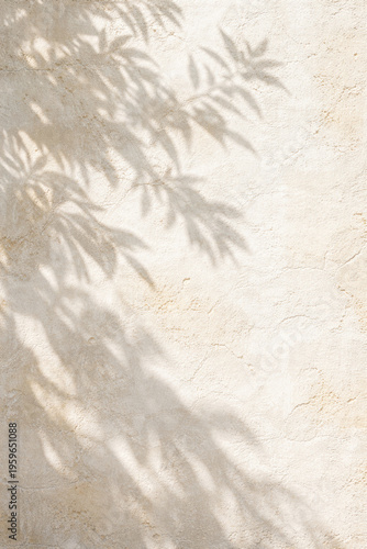 Soft shadow of leaves on textured light wall background
