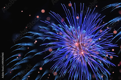 Wallpaper Mural アート花火（長野えびす講煙火大会） Torontodigital.ca