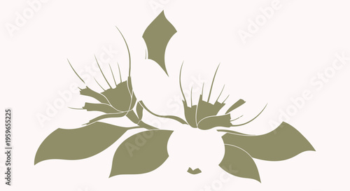 Olive green leaves, botanical illustrations, plant silhouettes, vector graphics