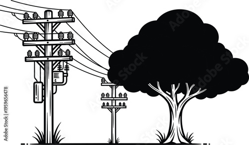 Large tree with dense foliage growing near utility poles and electrical power lines, illustrating vegetation management and infrastructure safety