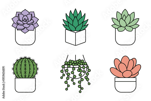 Collection of Six Different Potted Succulents and Cactus Houseplants Set Flat Vector Icons Green Plants in White Ceramic Pots for Home Interior Decor