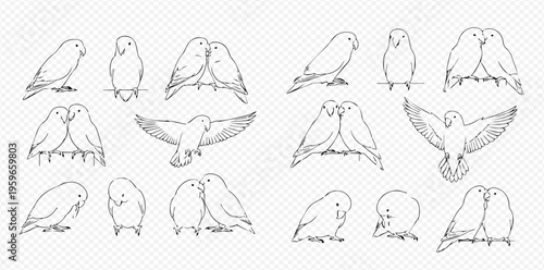 Set of hand-drawn lovebirds illustrations in various poses, perfect for nature and animal-themed designs.