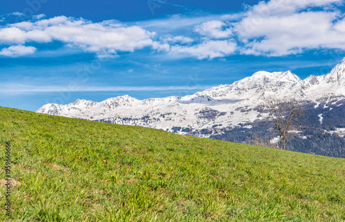 mountain landscape in spring with green meadows and snowy mountain peaks unde...