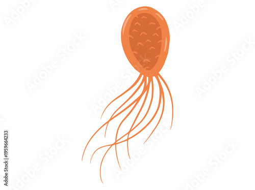 Pyrococcus Furiosus Microorganism illustration