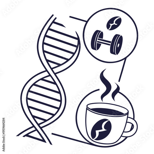 Outline illustration of dna strand with coffee, coffee beans, and dumbbell inside circles, depicting health concepts