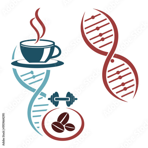 Illustration showing interaction between genetics, coffee, and physical activity with dna strands, coffee cup, and dumbbell