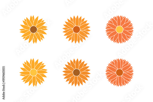 Medical herbs - calendula flowers. Vector graphic design illustraton for packing and emblem.
