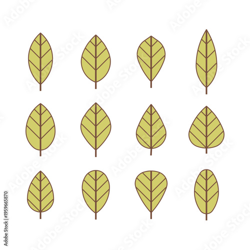 Set of green leaves. Plant cuttings. Eco emblem. Tree leaf with veins.