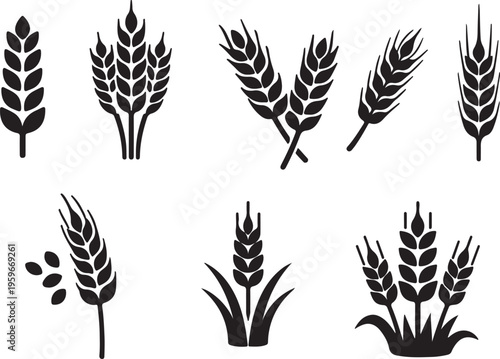 Wheat icon. Durum wheat pasta label. Bakery logo. Healthy nourishment illustration. Cereal pictogram. Gluten sign.