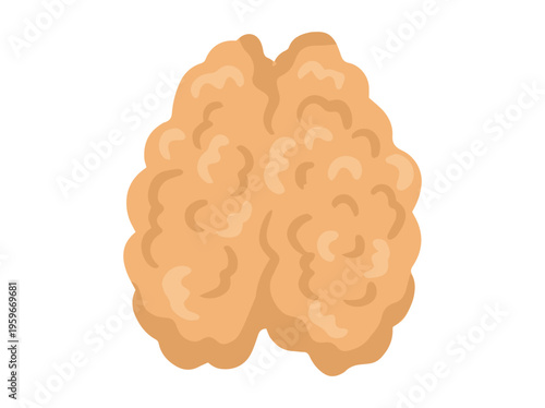 Thymus Gland Clip Art Illustration