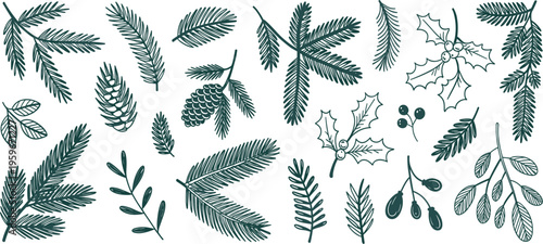 Hand drawn Christmas greenery vector set, pine branches, conifer cones, holly leaves and winter forest berries
