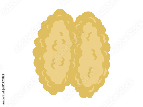 Thymus Gland Clip Art Illustration