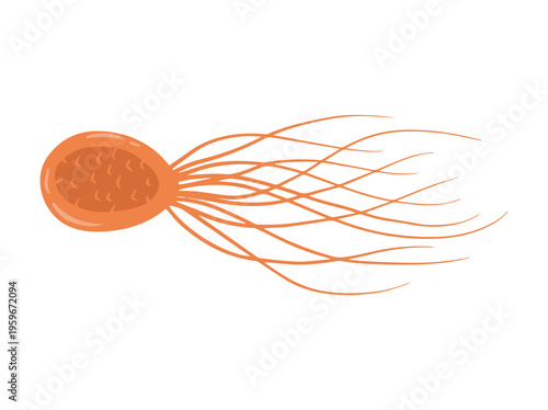 hand Drawn Pyrococcus Furiosus Illustration
