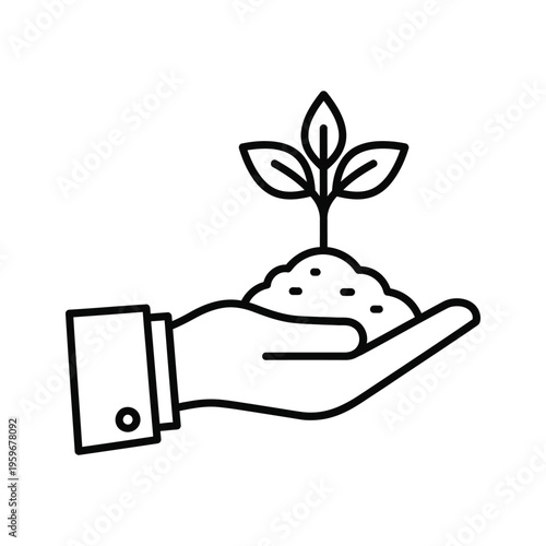 Seedling Growth Business Growth