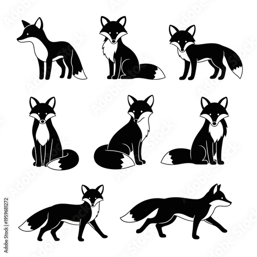 Black and white fox illustrations.