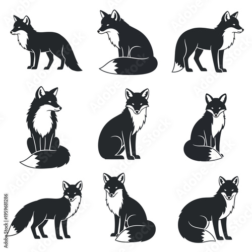 Black and white fox illustrations.