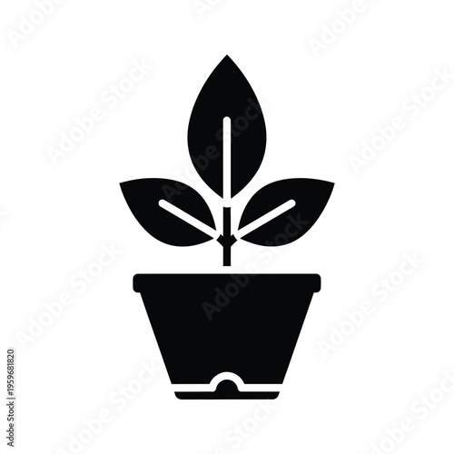 Plant Pot Growth Business Concept