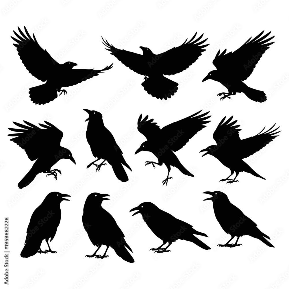 Fototapeta premium Black silhouettes of flying and standing crows.