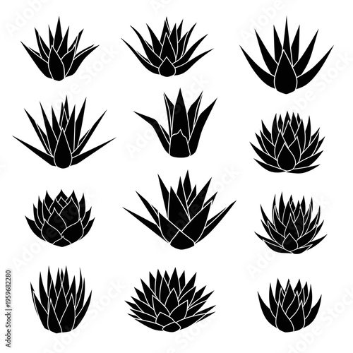 Black silhouettes of various agave plants.