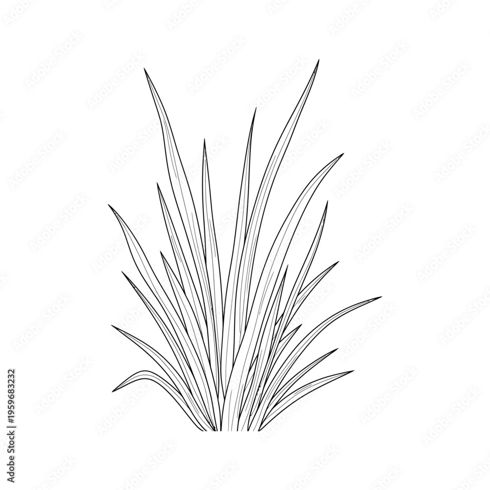 Fototapeta premium Grass Clipart Line Art Growth Concept
