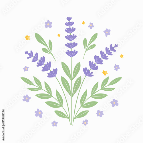 Lavendel