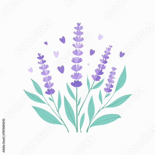 Lavendel