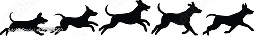 A silhouettes show a dog’s running motion.