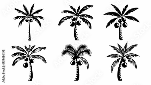 Black palm trees with coconuts