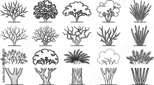 An array of intricately hand-drawn sketches of trees and plants showcase a diverse collection of arboreal forms, each meticulously rendered, perfect for architectural visualization.