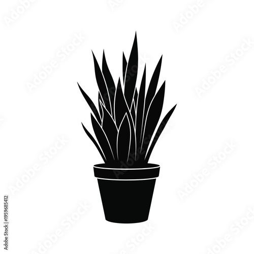 Snake Plant Pot Office Decor Commercial