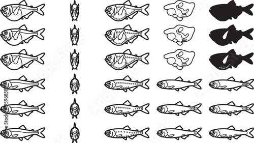 A collection of various fish drawings, presenting a diverse array of species in a creative and informative display.