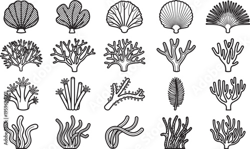 Diverse collection of intricately designed line art featuring seashells, corals, and seaweed, evoking the beauty and complexity of marine life.