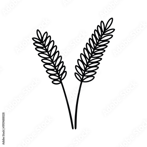 Wheat Stalks Agricultural Harvest Concept