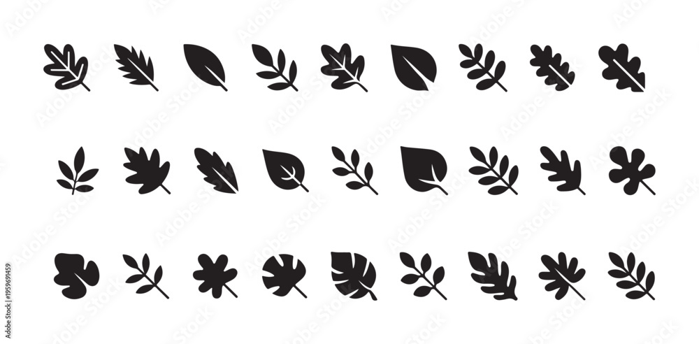 Obraz premium Various autumn and tropical leaves vector icons and elements