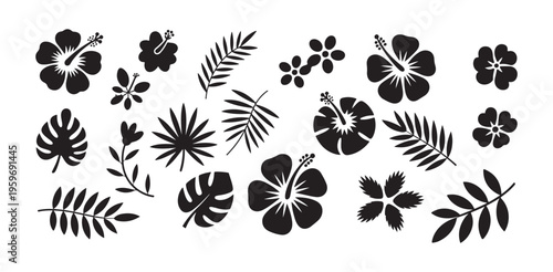 Cuadro en lienzo Tropical hibiscus flowers and palm leaves vector illustrations and patterns