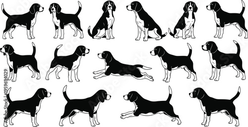 Beagle Dog Vector Silhouette Set Collection Featuring Various Poses Like Running Sitting Standing And Jumping For Pet Graphic Design Elements