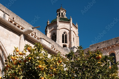 Bell tower of Santes Creus Monastery and an orange tree. Tarragona Province, Spain.