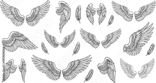 Intricate black and white wings, angel feathers, fantasy illustration, spiritual tattoo design, artistic detailed feather drawings, symbolic decorative artwork