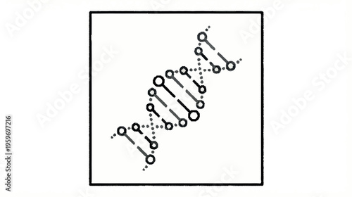 Handmade DNA Double Helix Structure Diagram in Black on White Background