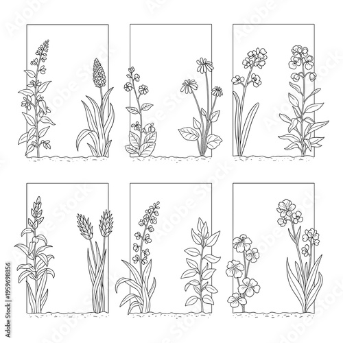 Vertical Botanical Flower and Reed Frames