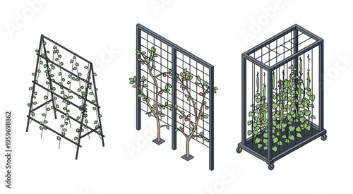 Garden trellis and plant support structures for climbing vegetables set vector