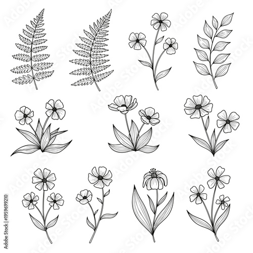 Detailed Floral and Fern Botanical Sketch Set