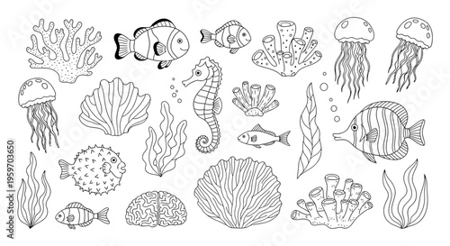 Underwater scene with various sea creatures and plants illustration