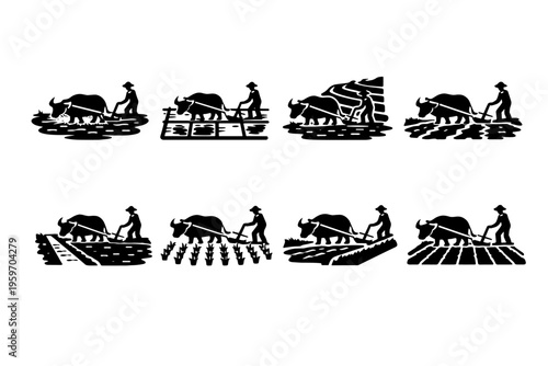 A Series of Farming Activities Depicting Traditional Agricultural Techniques with Oxen on Fields in Various Stages of Cultivation