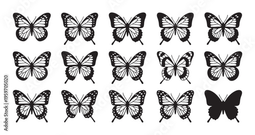 Detailed butterfly wing variations shown in black and white silhouette for educational and artistic usage