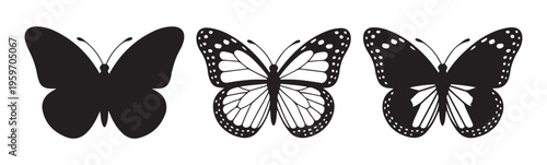 Three different butterfly silhouette styles from solid shape to detailed spotted patterns in black color