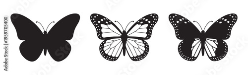 Set of three butterfly silhouettes isolated on white background beautiful decorative black element